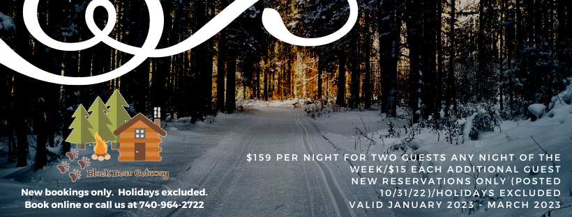 winter 2023 rental ad